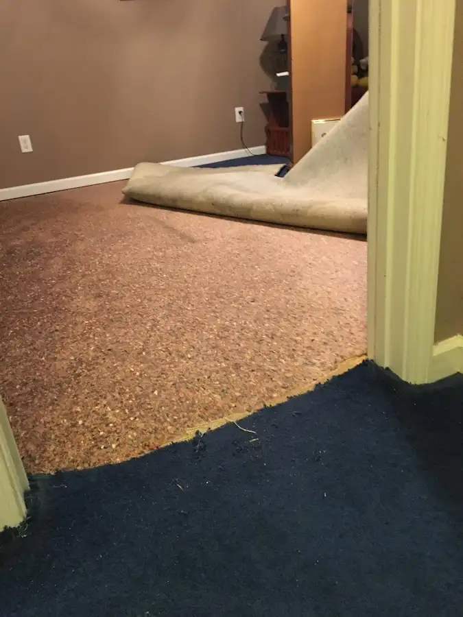 Carpet pad removal revealing water damage during Water Mitigation Services in Channahon