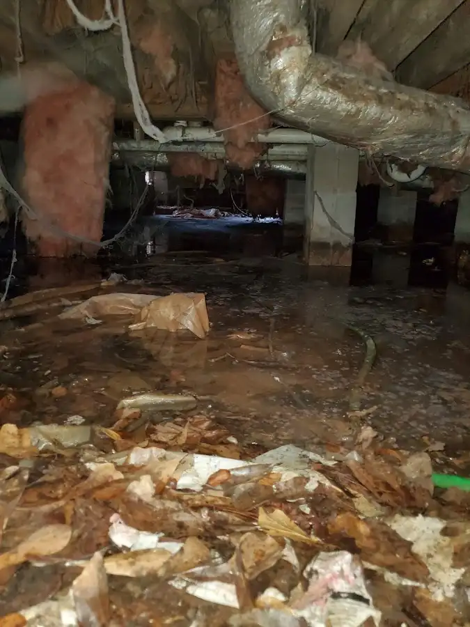 Crawl space flood assessment for Leak Detection & Repair in Channahon